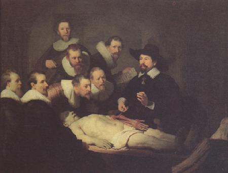  The anatomy Lesson of Dr Nicolaes tulp (mk33)